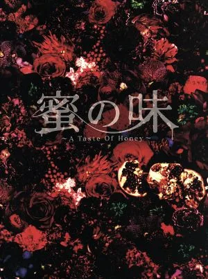 蜜の味~A Taste Of Honey~完全版 DVD-BOX