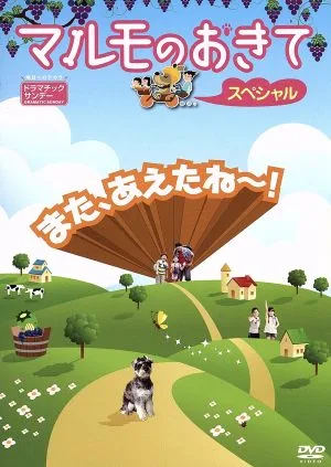 マルモのおきて スペシャル