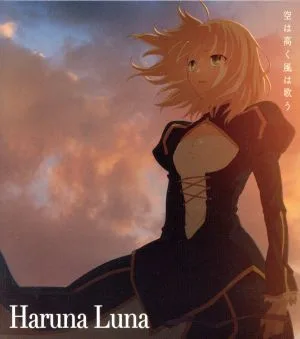 Fate/Zero:空は高く風は歌う(期間生産限定アニメ版)