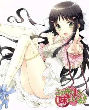 この中に1人、妹がいる!Vol.1(Blu-ray Disc)