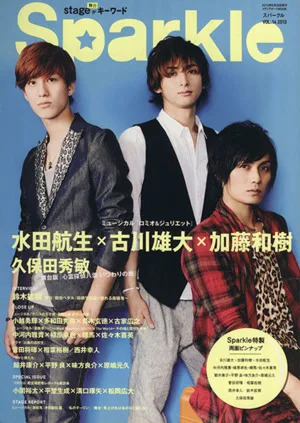Sparkle(Vol.14) メディアボーイMOOK