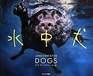水中犬