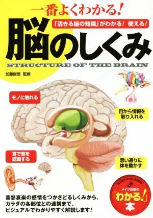 一番よくわかる!脳のしくみ 「活きる脳の知識」がわかる!使える! 「わかる!」本
