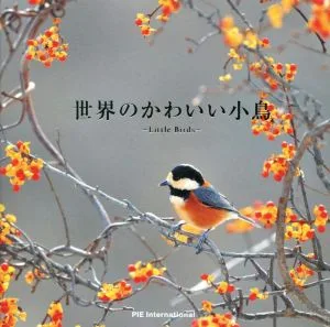cute little birds of the world