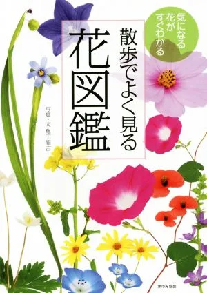 散歩でよく見る花図鑑 気になる花がすぐわかる