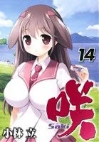 咲-Saki-(14) ヤングガンガンC
