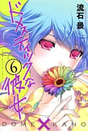ドメスティックな彼女(6) マガジンKC
