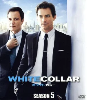 ホワイトカラー SEASON5 SEASONS コンパクト・ボックス