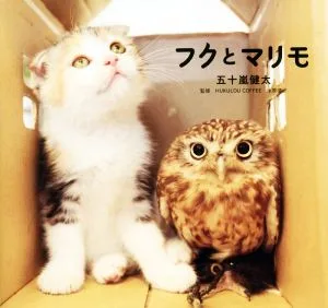 写真集 フクとマリモ