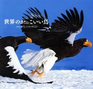 Photo collection Cool birds of the world