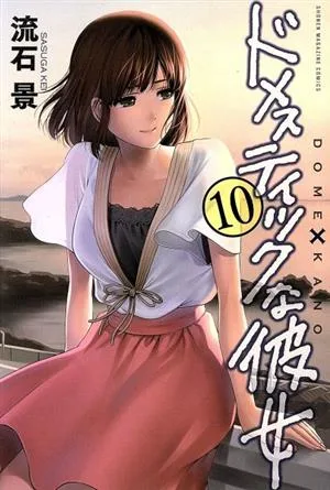 ドメスティックな彼女(10) マガジンKC