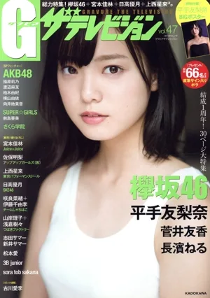 グラビア ザ・テレビジョン(Vol.47) カドカワムック