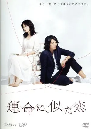 運命に、似た恋 DVD-BOX