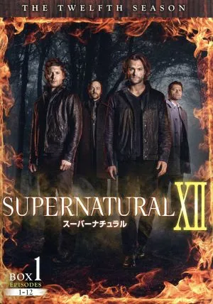 SUPERNATURAL ⅩⅡ<トゥエルブ・シーズン>コンプリート・ボックス(2BOXセット)