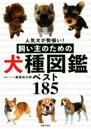 飼い主のための犬種図鑑ベスト185 人気犬が勢揃い!