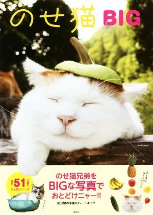 写真集 のせ猫BIG