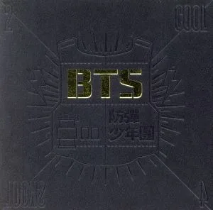 【輸入盤】2 Cool 4 Skool