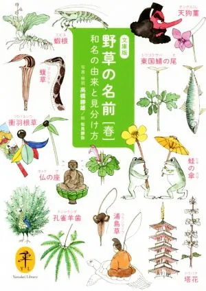 野草の名前 春 文庫版 和名の由来と見つけ方 ヤマケイ文庫