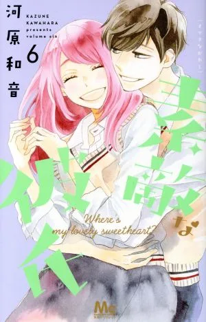 素敵な彼氏(6) マーガレットC