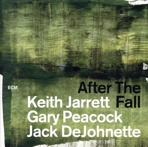 【輸入盤】After The Fall