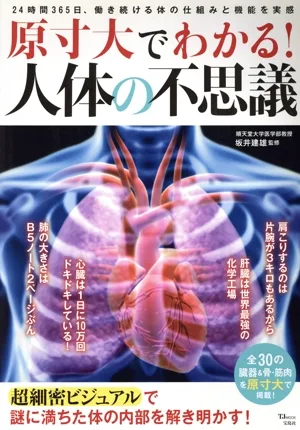 原寸大でわかる!人体の不思議 24時間365日、働き続ける体の仕組みと機能を実感 TJ MOOK