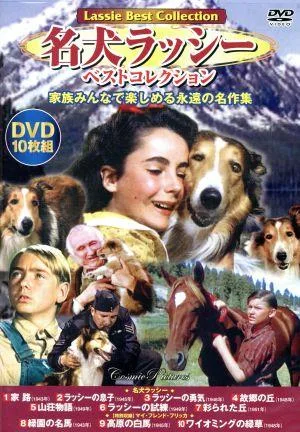 名犬ラッシー ベストコレクション(DVD10枚組)