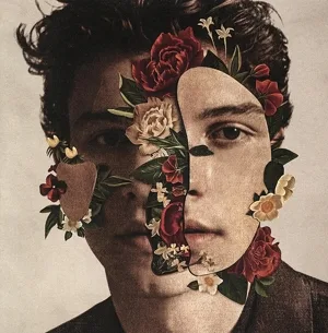【輸入盤】Shawn Mendes