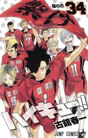 ハイキュー!!(34) ジャンプC