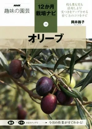 オリーブ 枝も葉も実も活用しよう!実つきをアップさせる育て方のコツをナビ NHK趣味の園芸 12か月栽培ナビ10