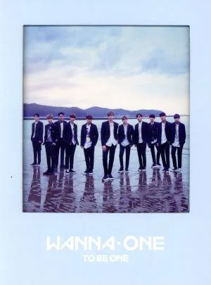 【輸入盤】1×1=1 TO BE ONE