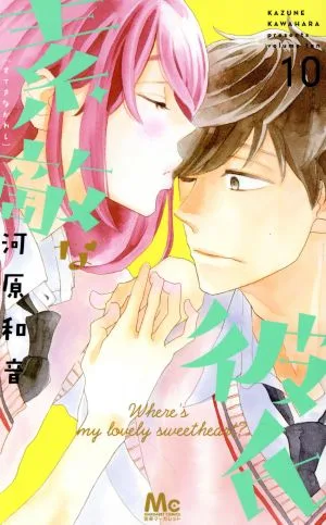 素敵な彼氏(10) マーガレットC
