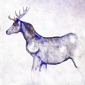 Horse and Deer (วิดีโอฉบับพิมพ์ครั้งแรกจำนวนจำกัด) (พร้อมดีวีดี) (ข้อกำหนดแจ็คเก็ตกระดาษ)