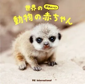 cute baby animals around the world