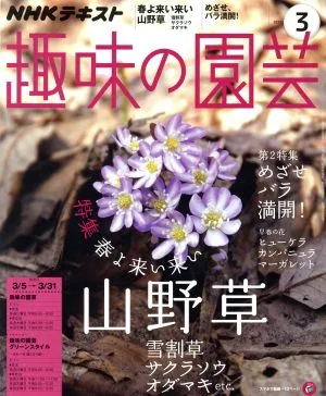 NHKテキスト 趣味の園芸(3 2017) 月刊誌