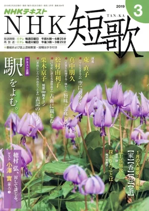 NHKテキスト NHK 短歌(3 2019) 月刊誌