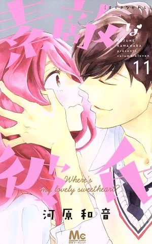 素敵な彼氏(11) マーガレットC