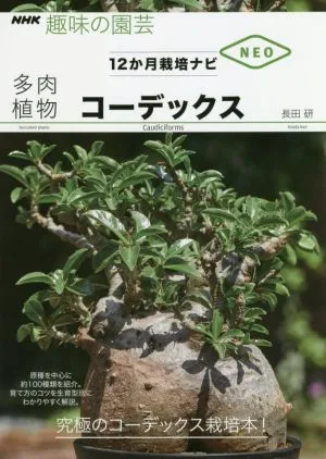 多肉植物コーデックス 原種を中心に約100種類を紹介。育て方のコツを生育型別にわかりやすく解説。 NHK趣味の園芸 12か月栽培ナビNEO