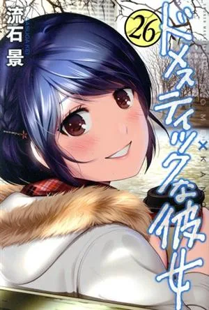 ドメスティックな彼女(26) マガジンKC