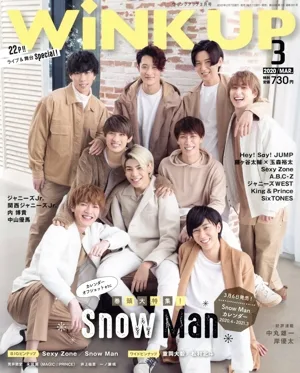 WiNK UP(3 2020/MAR.) 月刊誌