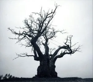 SEKAI NO OWARI 2010-2019(初回限定盤)(2CD+DVD)