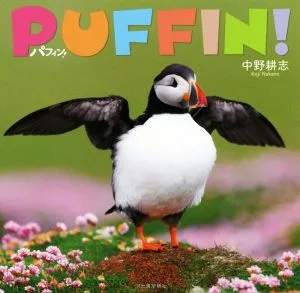パフィン!