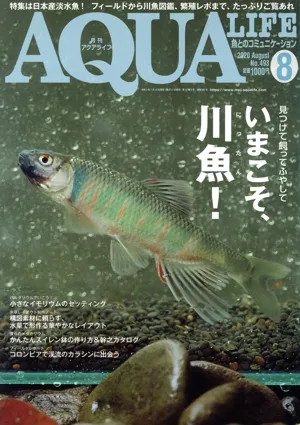 AQUA LIFE(Vol.493 2020年8月号) 月刊誌