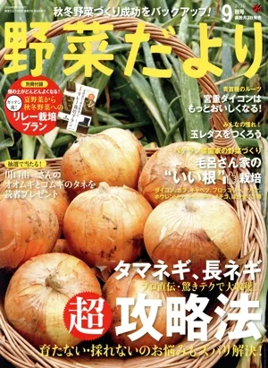野菜だより(2020 9 秋号) 隔月刊誌