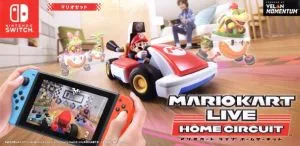 マリオカート ライブ ホームサーキット マリオセット