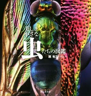 美しき小さな虫たちの図鑑