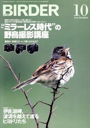 BIRDER(2020年10月号) 月刊誌