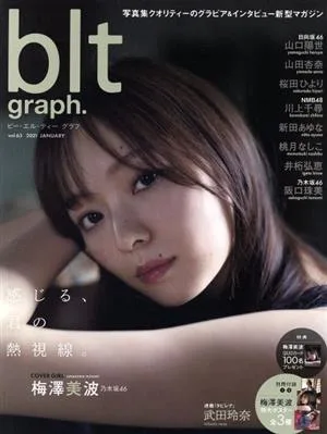 blt graph.(vol.63) B.L.T.MOOK