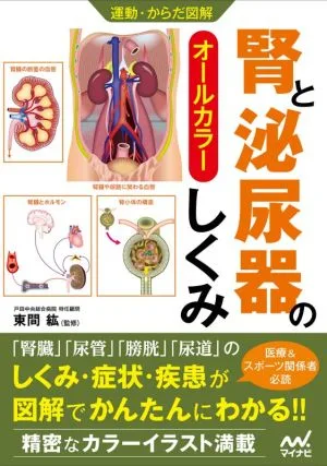 腎と泌尿器のしくみ オールカラー 運動・からだ図解