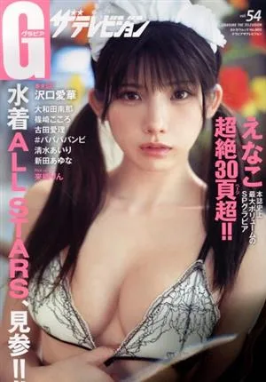 グラビア ザ・テレビジョン(vol.54) カドカワムック