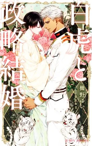 白虎と政略結婚 ビーボーイノベルズ